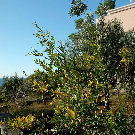 House Bora With Sea View 70m From The Πανσιόν
